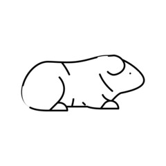 guinea pig pet line icon vector illustration