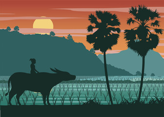 country life of the boy riding buffalo near rice field,vector illustration