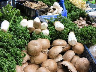 Fresh, healthy, organic mushrooms for sale at a farmer's market stall in Borough Market in London, England.
