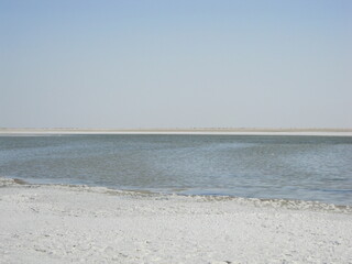dust of Aral sea