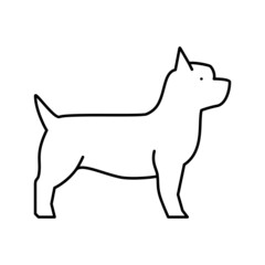 yorkshire terrier dog line icon vector illustration