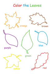 Coloring Worksheet. coloring pages for kids color the leaves. remember colors