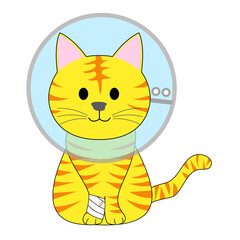 A tabby cat with elizabethan collar 