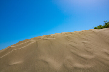 Global warming background photo. Desertification concept photo.