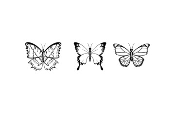 set of butterflies can be used to create a template, logo and other
