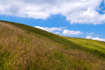 Bright landscape with grassy green meadow and distant mountain hills in summer