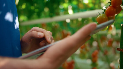 Greenhouse specialist closeup researching plants with tablet on plantation