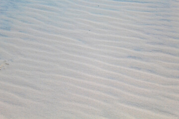 wind marks in the sand