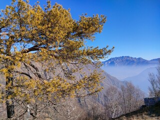 autumn in the park