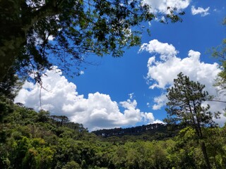 Obraz premium clouds and trees