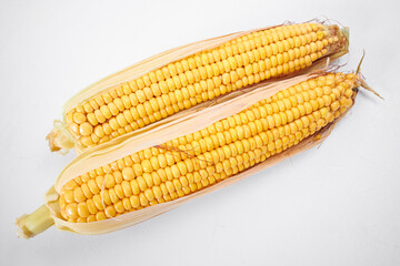 fresh corn on the white