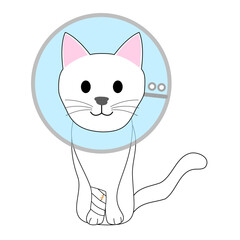 A skinny white cat with an Elizabethan collar 