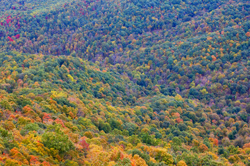 View of autumn colors from near the summit of Big House Mountain, located near Lexington, Virginia
