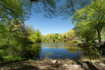 Keuken foto achterwand Gapstow Brug Central Park lentetijd