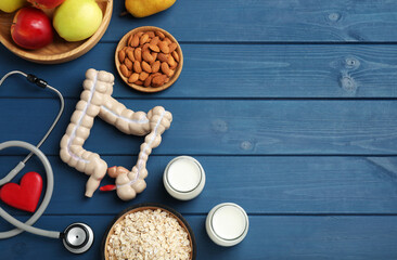 Layout of intestine model and products to help digestion on blue wooden table, top view. Space for text