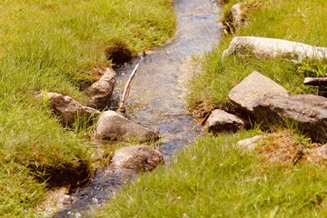 stream in the woods