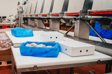 modern poultry processing plant.Meat processing in food industry.Packing of meat slices in boxes on a conveyor belt.Line for the production of semi-finished meat products.