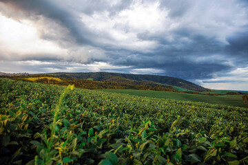 Montanha Sagrada do Araçoiaba (morro ipanema) - Araçoiaba da Serra, SP