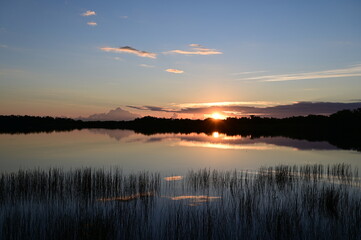 Fototapeta premium Sunrise cloudscape reflected in tranquil water of Nine Mile Pond in Everglades National Park, Florida.