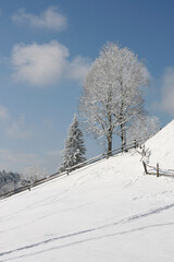 Winter landscape with wooden fence