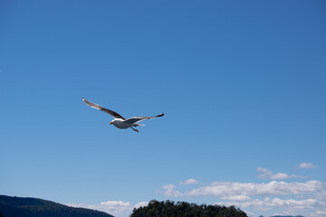 LAGO DE BARILOCHE