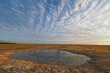 Afternoon cloudscape reflected in the calm water of a solution hole in Everglades National Park, Florida.