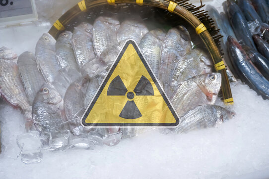 A basket of seafood and distant sea fish with a warning about nuclear radiation.contaminated foods.Radioactive soil.metaphor for nuclear threat.Nuclear leak,Environmental damage.white background.