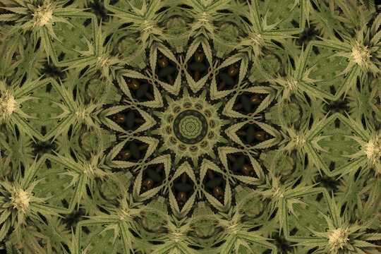 Trippy Cannabis art, Wallpaper, Background, Texture, Medical marijuana, Pot leaf, Kaleidoscope, 