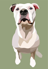 Dog Drawing Vector on white background, Assorted Dog Face and Style Outline, Vintage Sketch Line Art, Pastel Watercolor.
