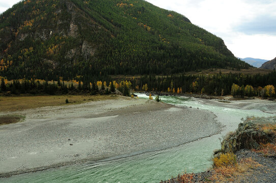 The winding bed of a beautiful turquoise river, flowing in a stormy stream at the foot of a high mountain, on a cloudy autumn day.