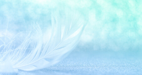 feather on an abstract blue background with defocused lights