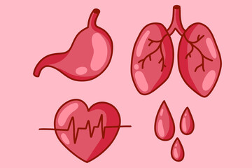 Set Organs bloods heart lungs stomach illustration