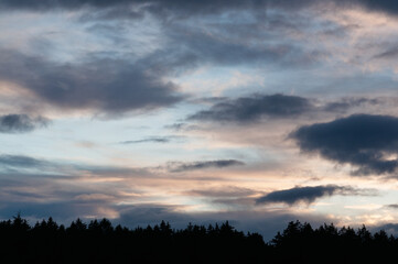 Cloudy sky above silhouette spruce forest,plenty of copy space