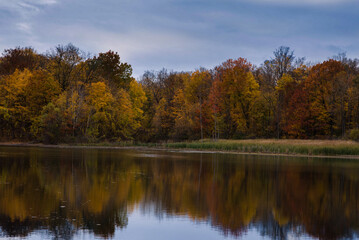 Fall Reflection