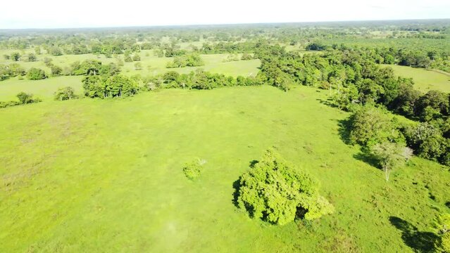 Gran valle verde con autos a su paso