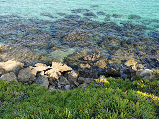 Rocky coast with green plants, clear, azure water of the Mediterranean Sea, under which stones are visible.