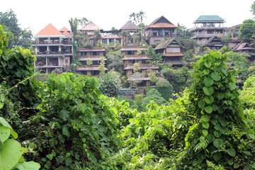 Fototapeta na wymiar Empty villas around Campuhan Ubud. Taken January 2022.