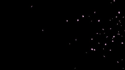 さくらふぶき2022-04多め