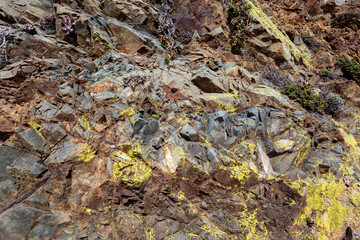 Red and yellow rocks with green moss
