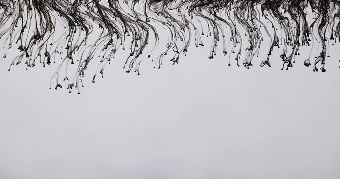 Small Particles Of Black Ink Slowly Descend And Leave A Trail Behind Them.