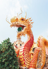 A giant golden Chinese dragon that holds a green glass ball. Located in Wat Phra Thaen Temple,...