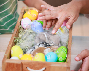 Asian child girl touching tiny bunny with tenderness and love. Baby rabbits in the nest with mommy...