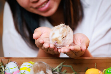 Asian woman holding tiny bunny in hand with tenderness and love. People take care a pet and...