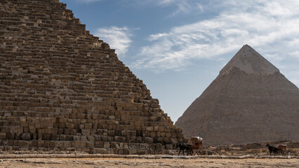 Fototapeta na wymiar The two great pyramids of Giza- Cheops and Chephren against the blue sky. The ancient masonry walls are visible. At the foot are horses harnessed to carts. Egypt