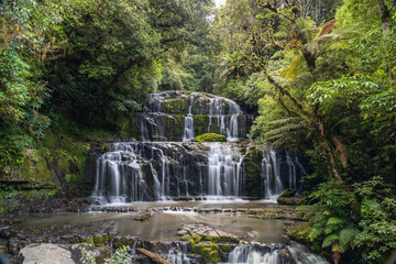 waterfall in the forest