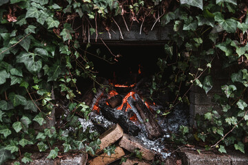 Burning red embers of fire in outdoor fireplace covered in ivy