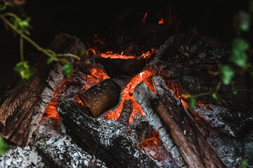 Burning red embers of fire in outdoor fireplace covered in ivy