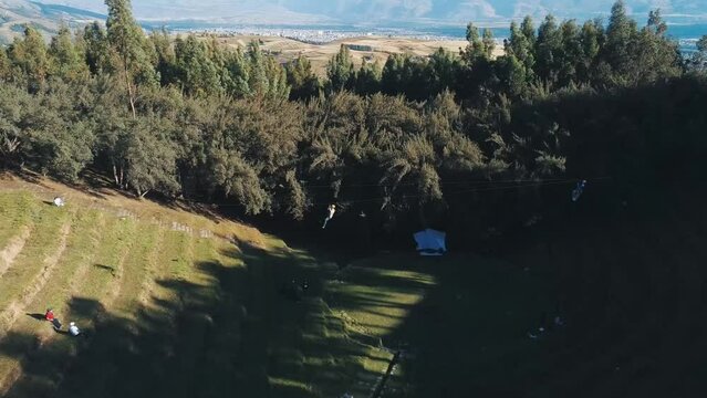 Bosque dorado en Junin, Peru
