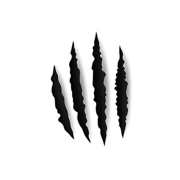 Four claws scratch trace isolated wild animal nails track on paper sheet. Vector tiger, bear or cat paw sherds. Realistic 3d marks lion, monster or beast breaks, horror grunge slashes, damaged edges