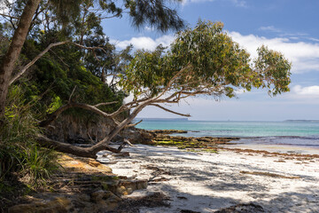 View of the beautiful Blenheim beach in NSW, Australia, a popular white sand swimming beach
